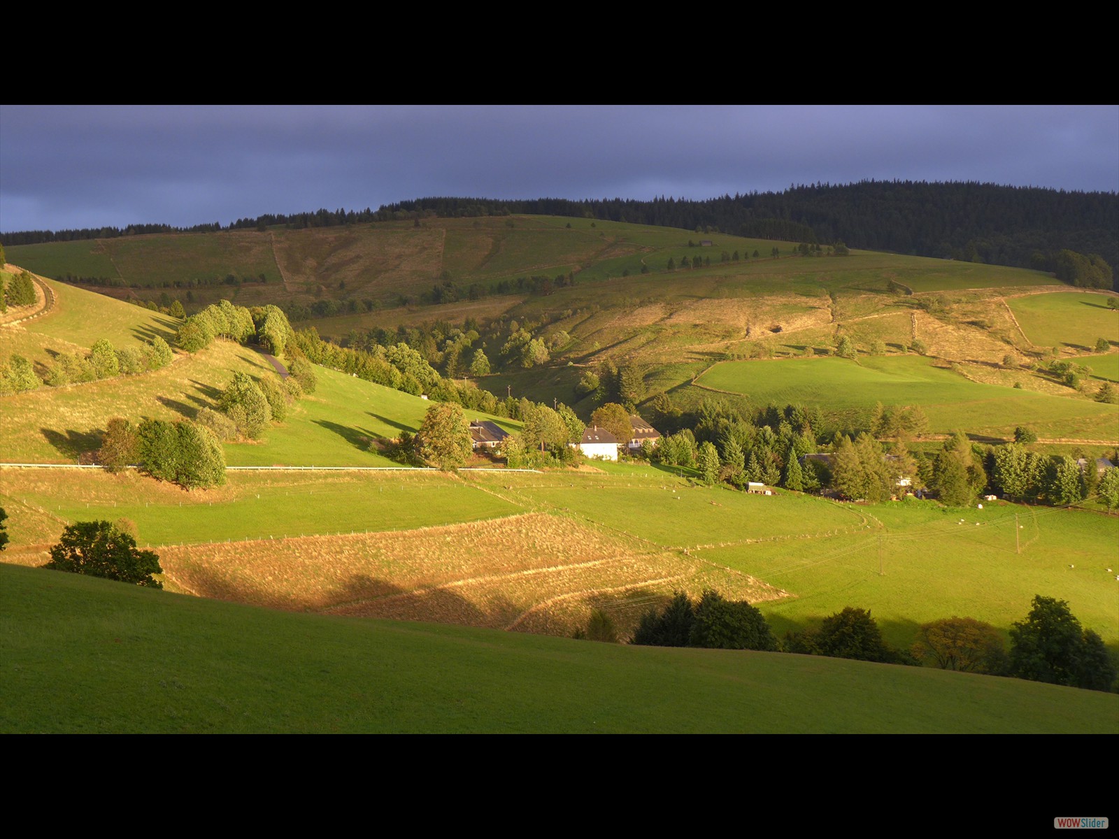 Septembre: Münstertal