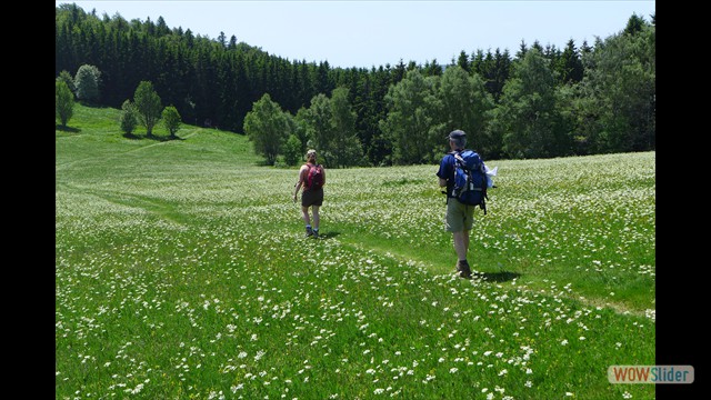 Juin: Rimbach - Masevaux lac des perches - Colinet