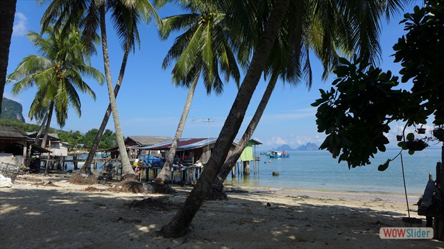 Décembre: Thaïlande - Koh Mook